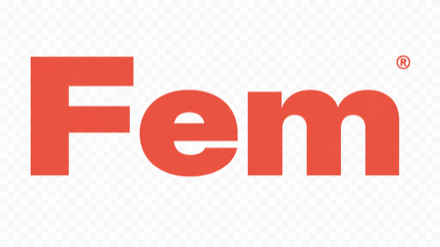 FEM
